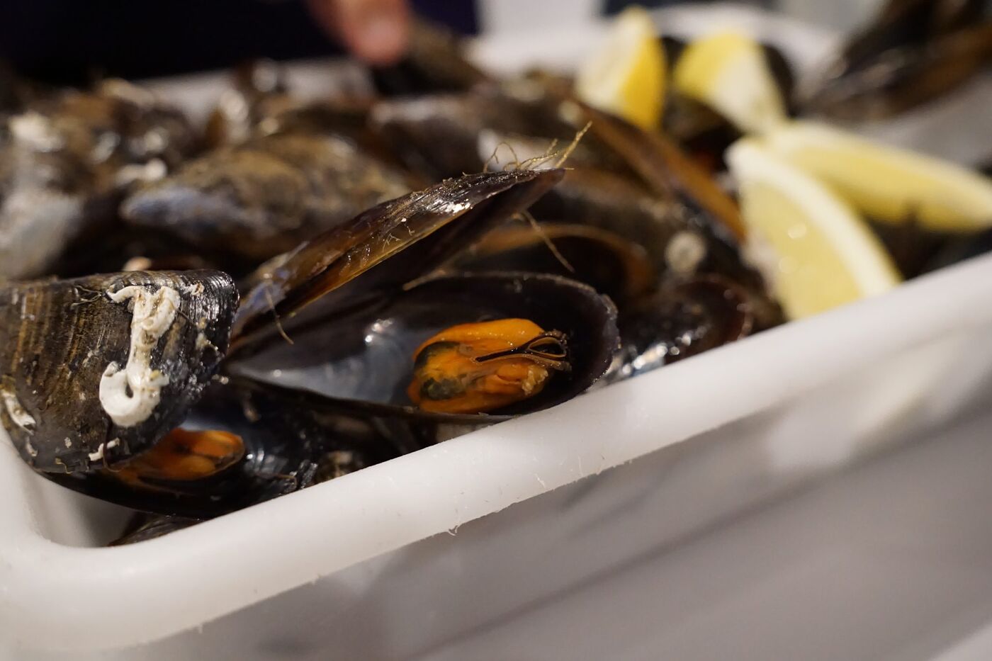 Mejillones al vapor con limón
